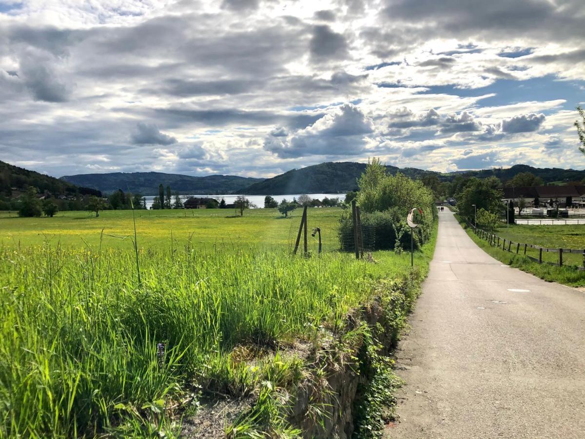 Danner Familien-Ferienwohnungen Schoerfling Am Attersee Ngoại thất bức ảnh
